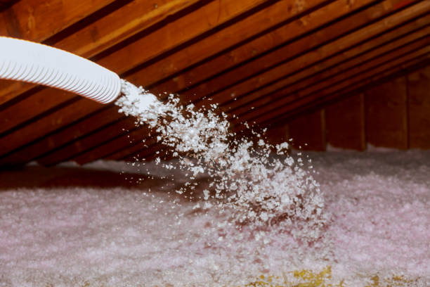 Best Insulation Installation Services in Valle Vista, AZ